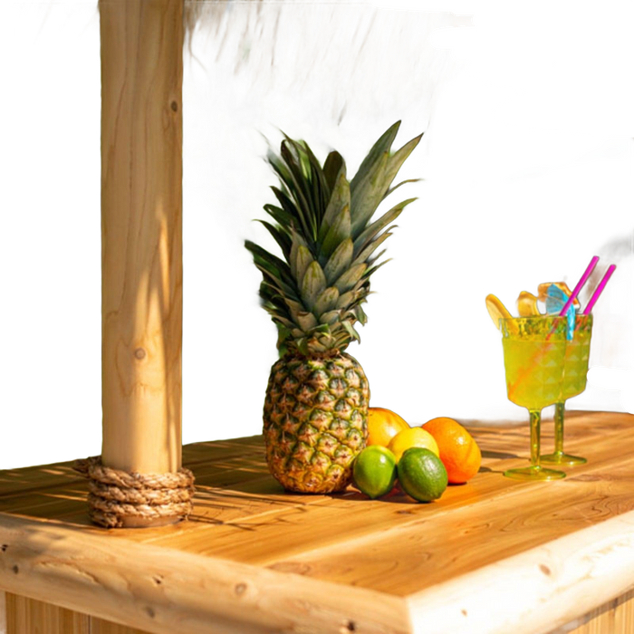 Southern Fantasy Tiki Bar by Leisurecraft