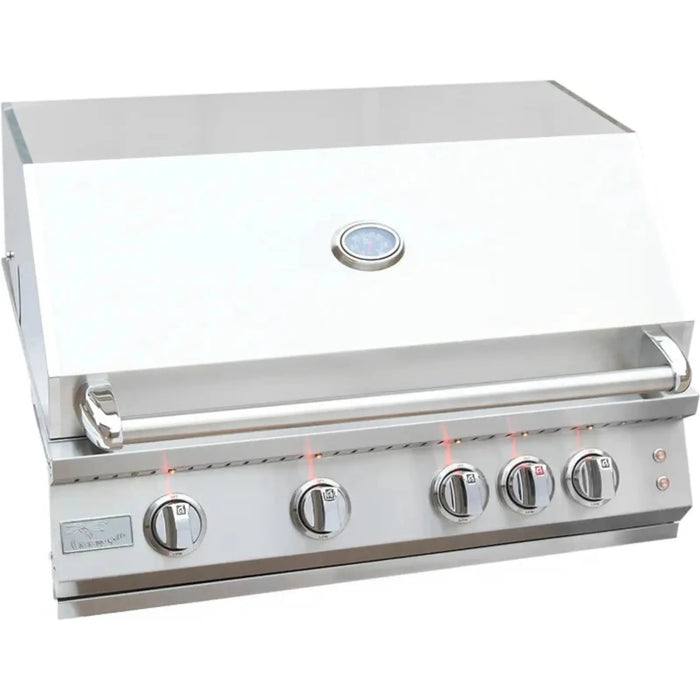 Professional Grill with Four Burners by KoKoMo