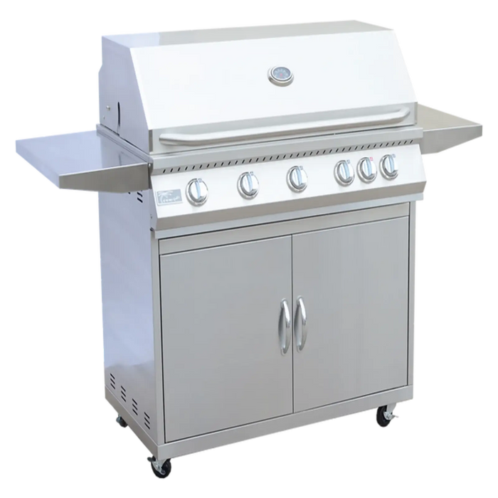 Five Burner Grill with Cart by KoKoMo